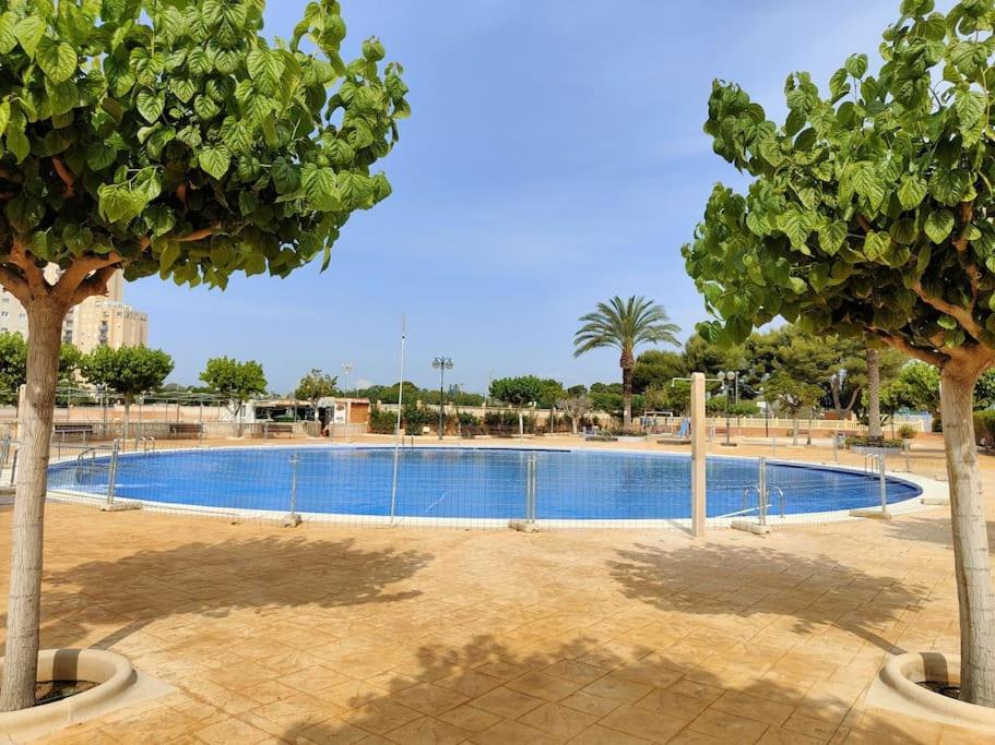 1ª Linea De Playa Mucha Vista Apartment *